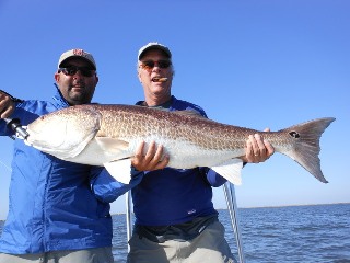 SIGHT FISHING a 40 INCH REDFISH